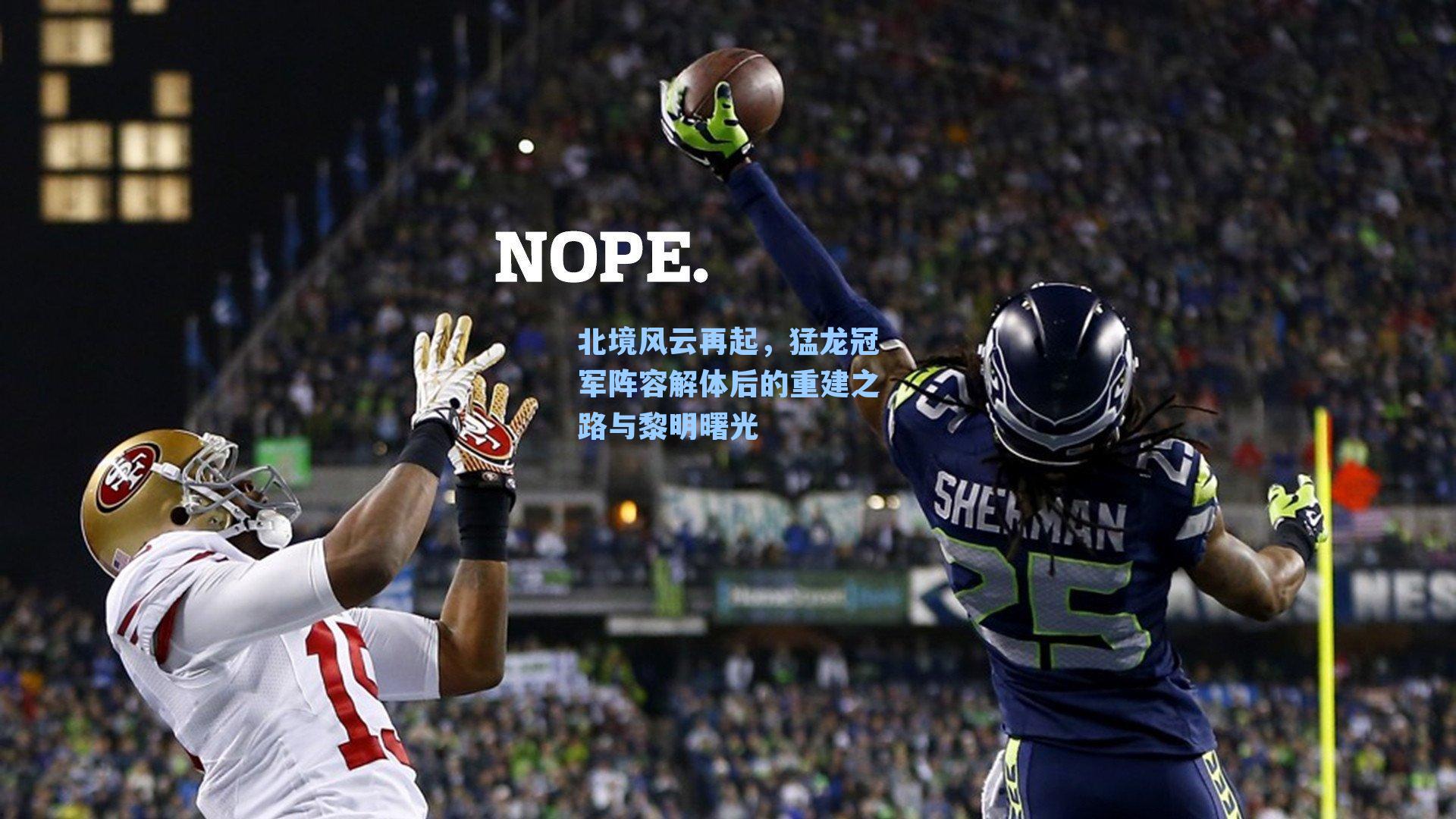 北境风云再起，猛龙冠军阵容解体后的重建之路与黎明曙光