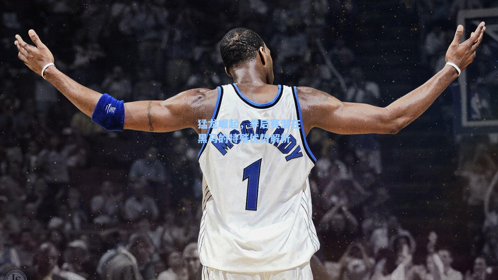 猛龙崛起，季后赛潜在黑马的特殊优势解析
